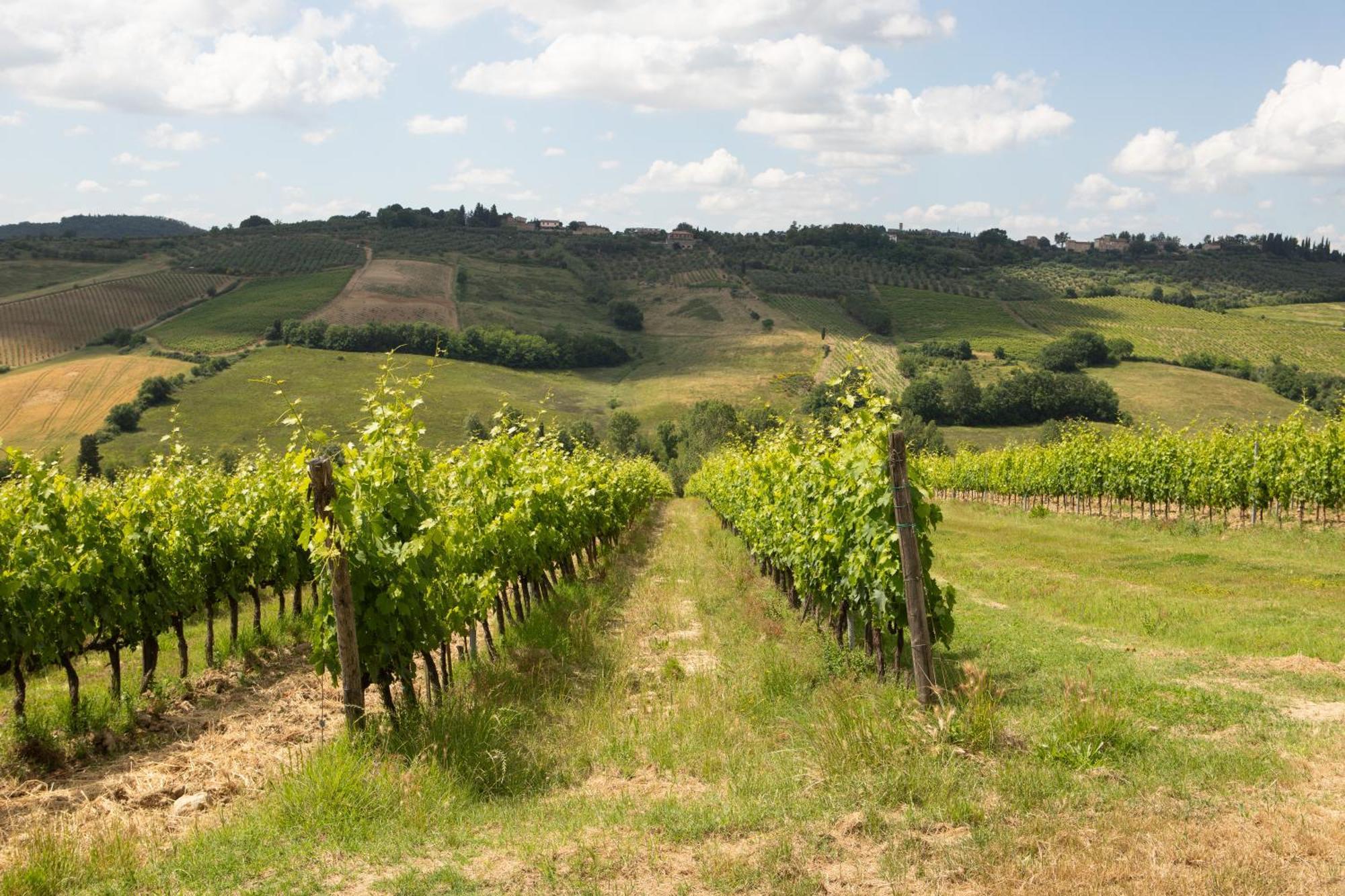 Vittoria Chianti Vacations Apartment Poggibonsi Luaran gambar